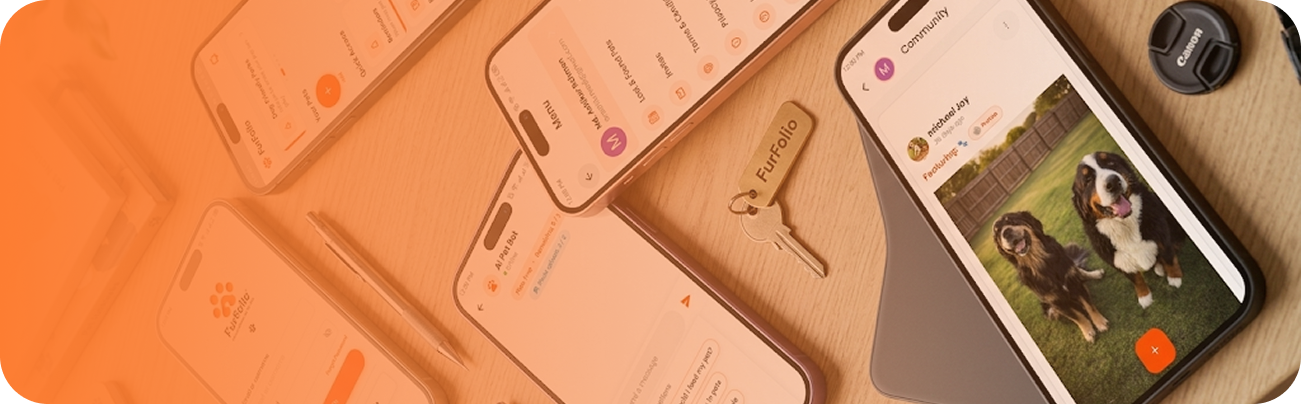 Terms & Privacy Policy