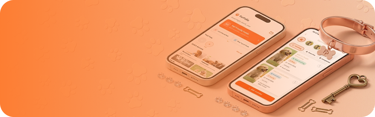 Terms & Privacy Policy